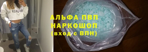 стаф Алзамай