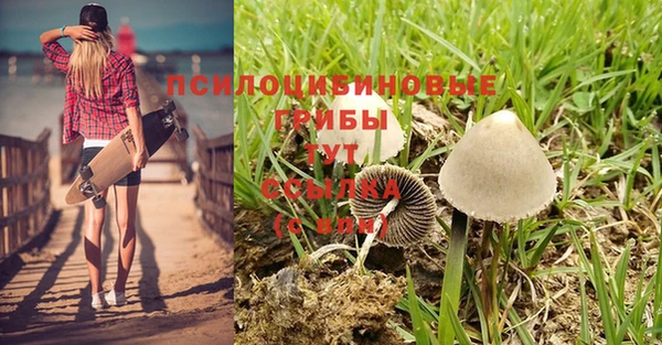МДМА Абаза