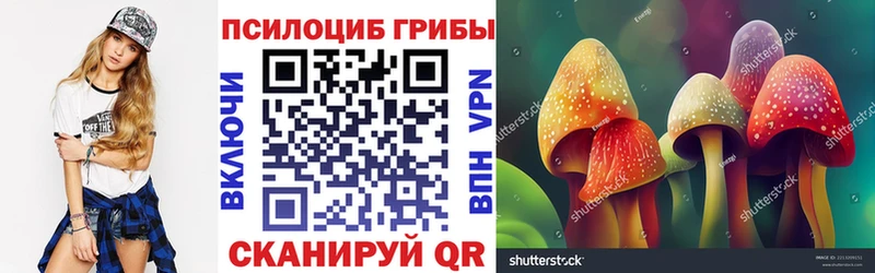 цена наркотик  Луга  Псилоцибиновые грибы Psilocybe 