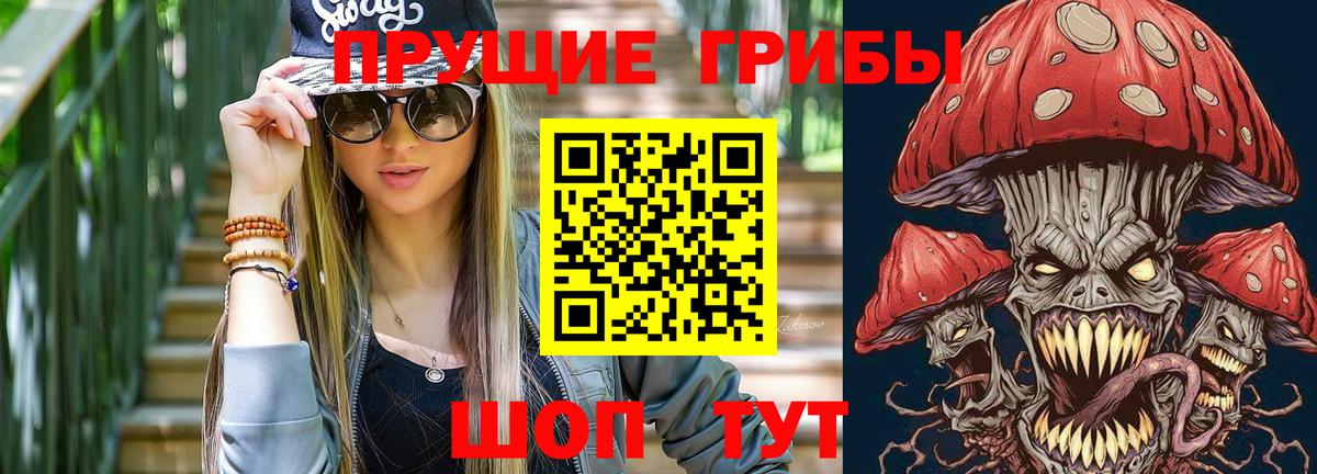 Псилоцибиновые грибы прущие грибы Луга