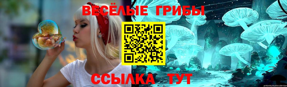 Псилоцибиновые грибы Psilocybine cubensis  Вход с VPN  Луга 